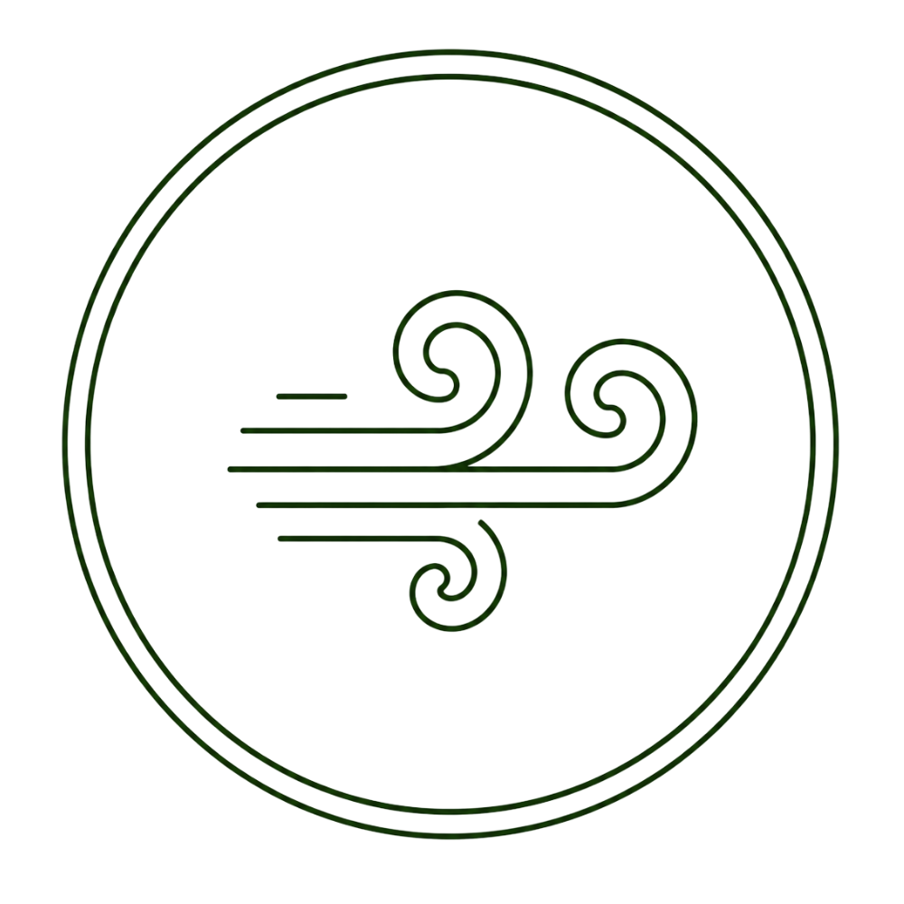 Wind scent diffusion icon